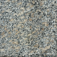 Arizona Yard Decorative Granite Tiles Price Philippines 60X60